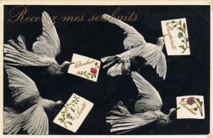 Lire la suite à propos de l’article Brocante du 06/01/2019